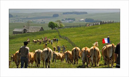 Transhumance