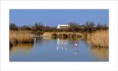 /album/galerie-test1/a3-camargue-1200x780-72-jpg/